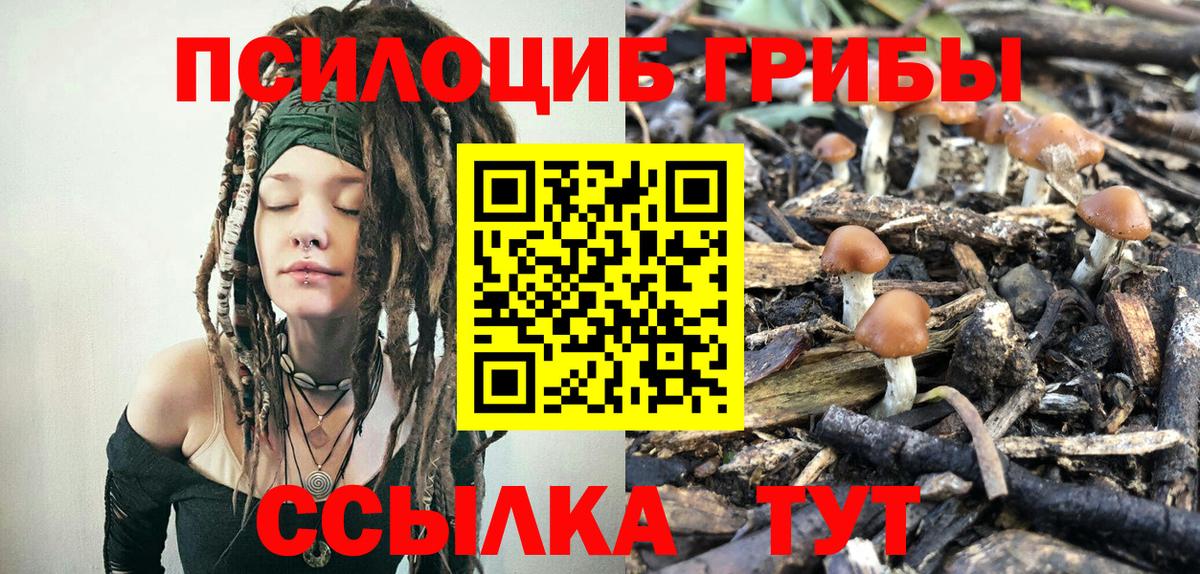 Псилоцибиновые грибы MAGIC MUSHROOMS Биробиджан
